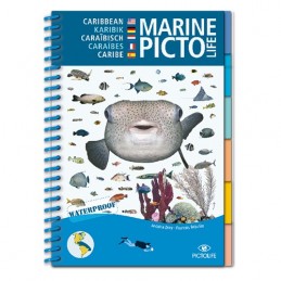 livre immergeable CARAÏBES PICTOLIFE